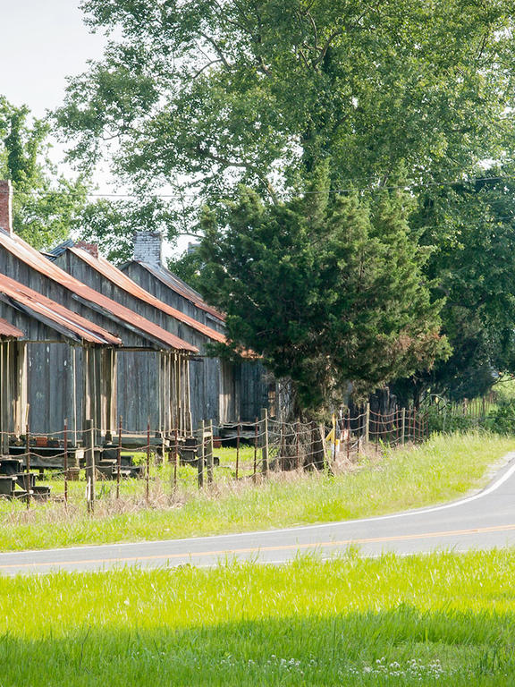 Laurel Plantation