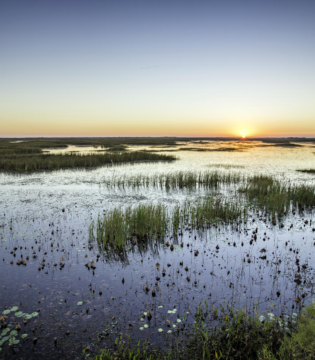 Flyway Byway