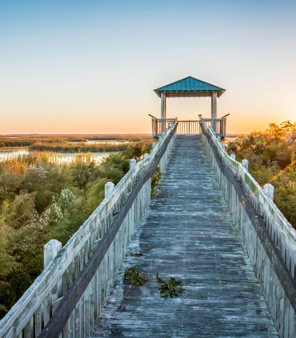 Flyway Byway