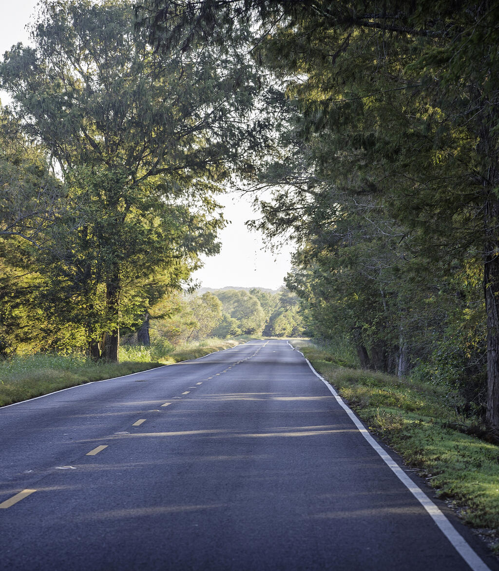 Flyway Byway