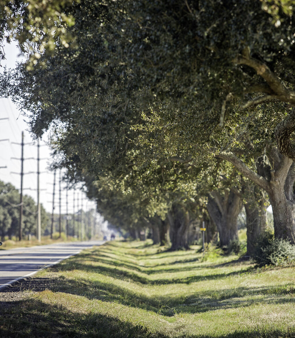 Flyway Byway