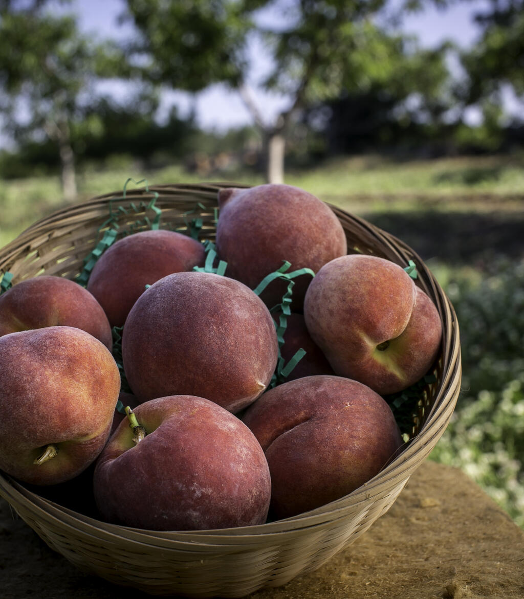 Peaches from Ruston, LA