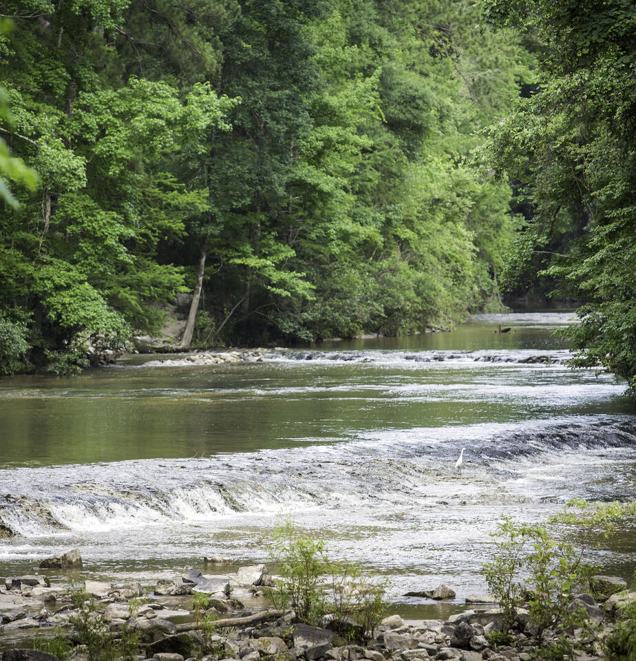 Longleaf Trail Byway