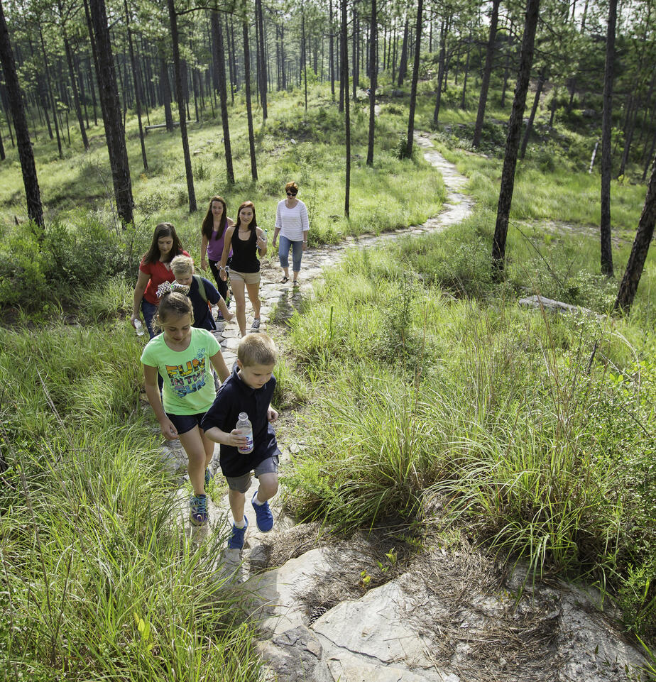 Longleaf Trail Byway