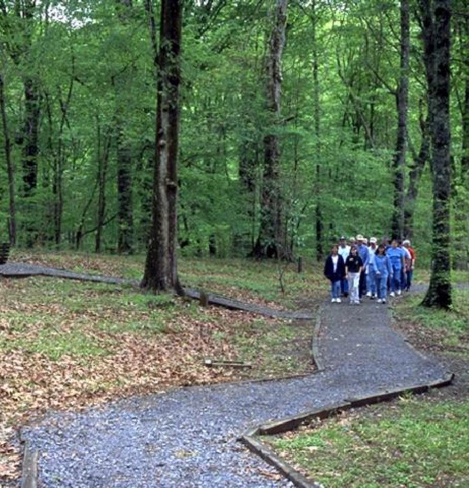 Louisiana State Arboretum